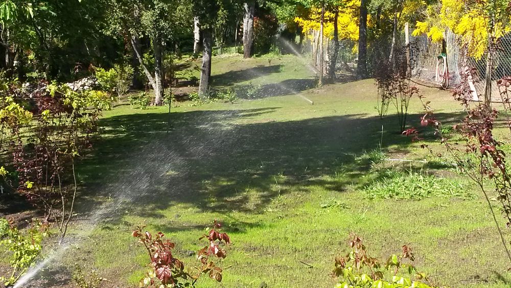 riego parque